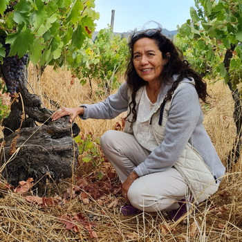 Chilean wine production eyes the past to built it's future 