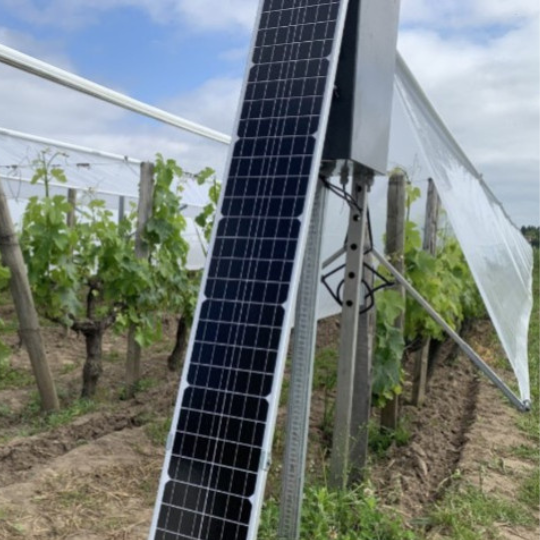 Viti-Tunnels due to be rolled out in AOC vineyards in France Viti-Tunnels due to be rolled out in AOC vineyards in France