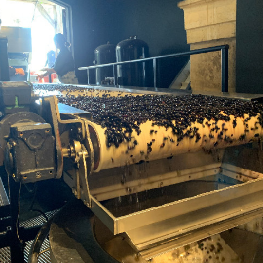 Primeurs 2025, a vintage with five quality conditions fulfilled for Bordeaux wines and "a year that will be remembered. Primeurs 2025, a vintage with five quality conditions fulfilled for Bordeaux wines and "a year that will be remembered.