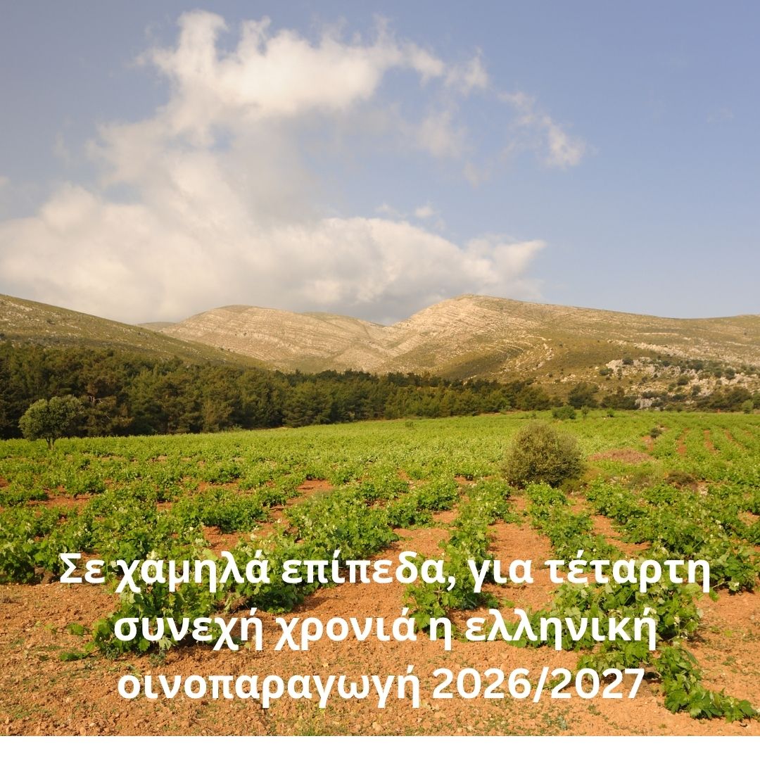 Σε χαμηλά επίπεδα, για τέταρτη συνεχή χρονιά η ελληνική οινοπαραγωγή 2026/2027.