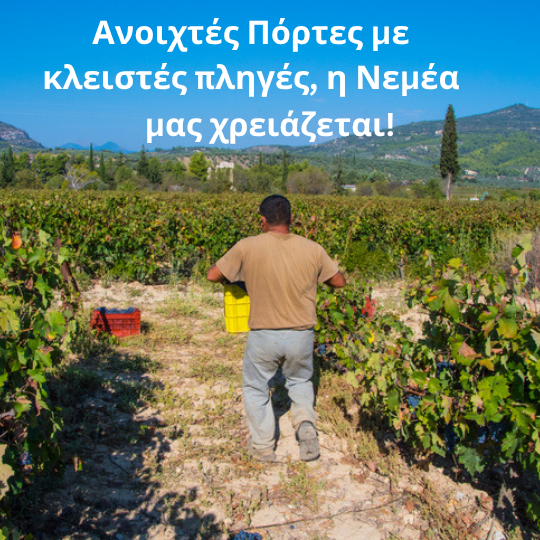 Ανοιχτές Πόρτες με κλειστές πληγές: Η Νεμέα μάς χρειάζεται περισσότερο από ποτέ!