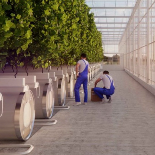 QANOPEE: An investment for the future of Burgundy wines QANOPEE: An investment for the future of Burgundy wines