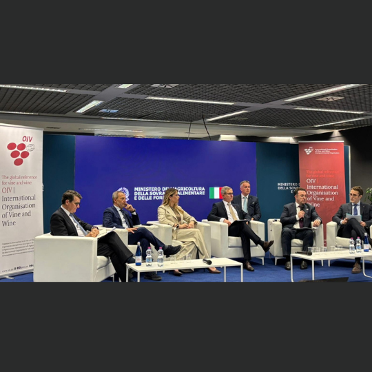 Vinitaly 2026: OIV highlights the cultural value of vine and wine in a global perspective. Vinitaly 2026: OIV highlights the cultural value of vine and wine in a global perspective.